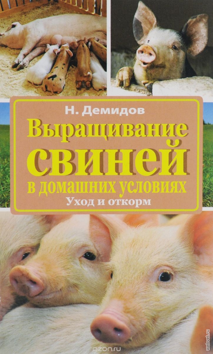 Бизнес-план выращивания свиней в домашних условиях Бизнес-план выращивания свиней в домашних условиях