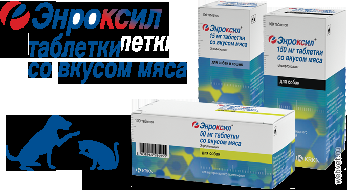 Энроксил Инструкция Таблетки - resursnutrition