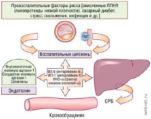 Этология, зоопсихология