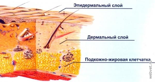 Физиотерапия