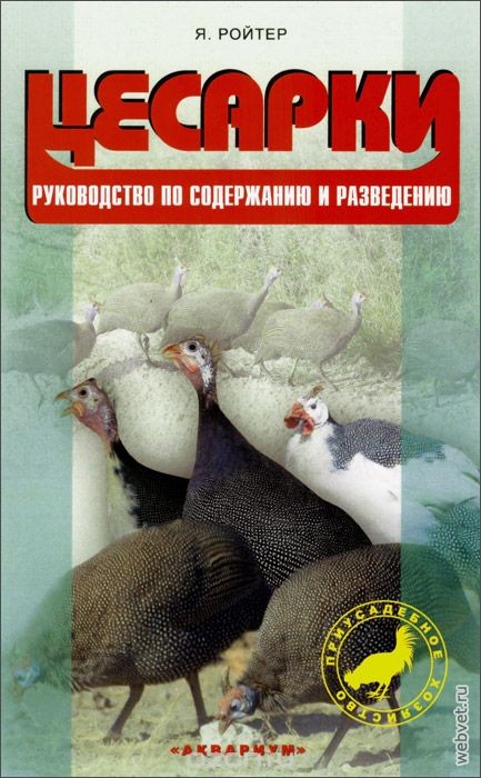 Цесарки. Руководство по содержанию и разведению