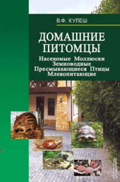 Домашние питомцы: Насекомые. Моллюски. Земноводные. Пресмыкающиеся. Птицы. Млекопитающие