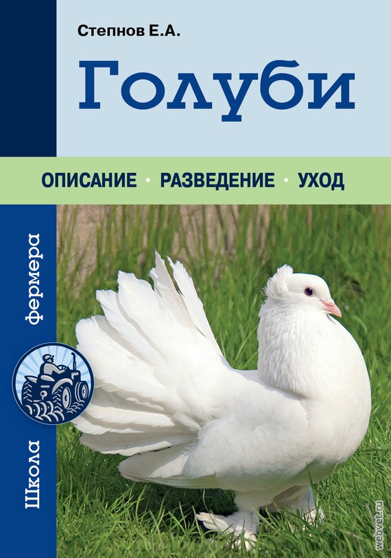 Голуби Голуби