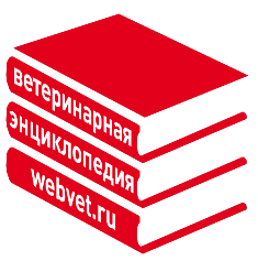 Заболевания поджелудочной железы у собак и кошек