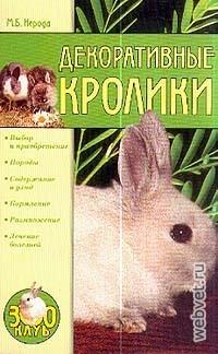 Декоративные кролики