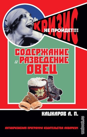 Содержание и разведение овец