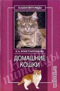 Домашние кошки