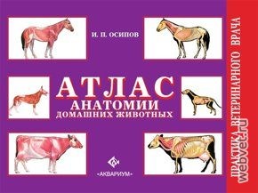 Атлас анатомии домашних животных