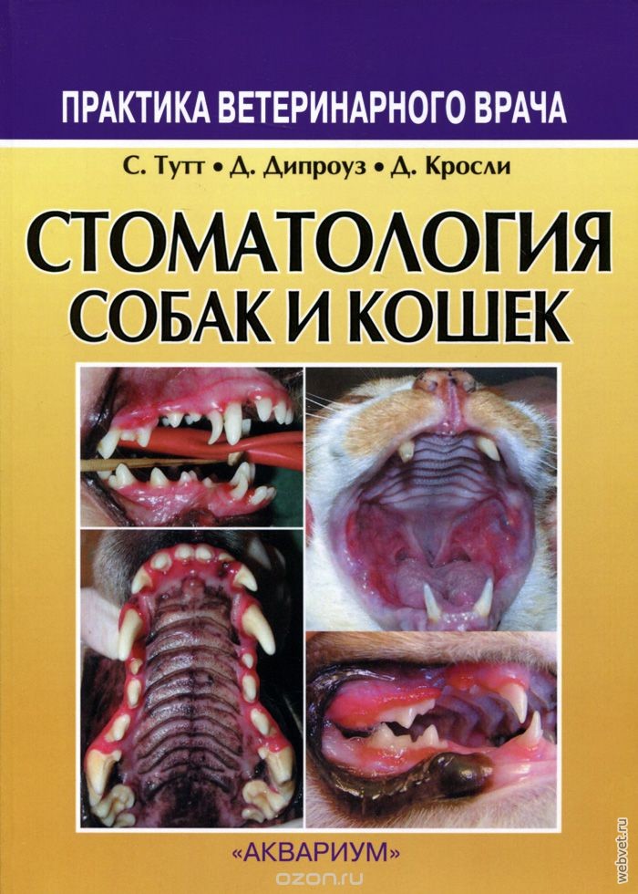 Стоматология собак и кошек Стоматология собак и кошек