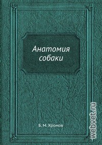 Анатомия собаки