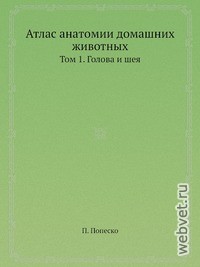 Атлас анатомии домашних животных Том 1