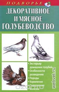 Декоративное и мясное голубеводство