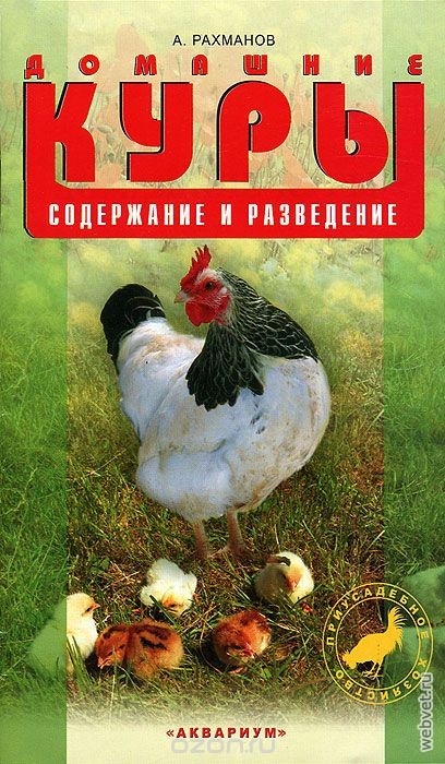 Домашние куры. Содержание и разведение