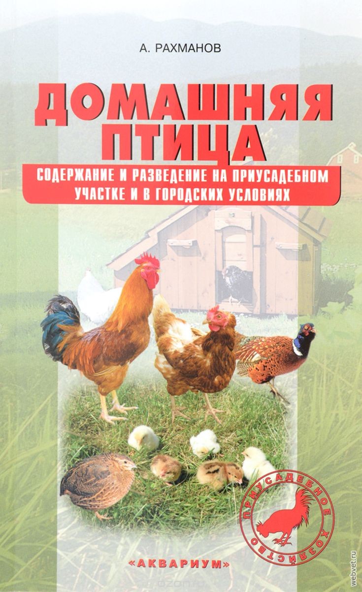 Домашняя птица. Содержание и разведение на приусадебном участке и в городских условиях