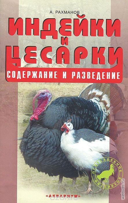 Индейки и цесарки. Содержание и разведение