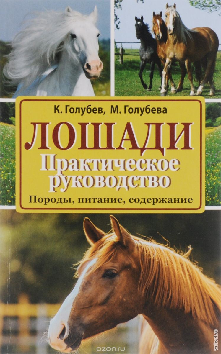 Лошади. Породы, питание, содержание