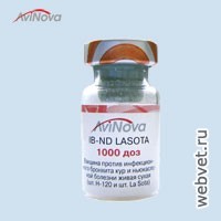 AviNova IB-ND LASOTA