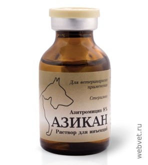 Азикан