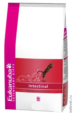 Eukanuba Intestinal Formula