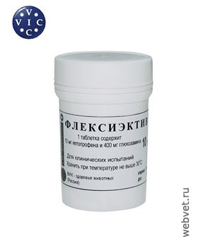 Флексиэктив