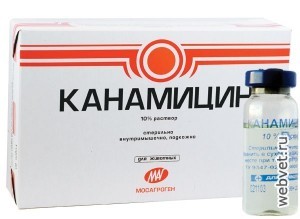 Канамицин 10