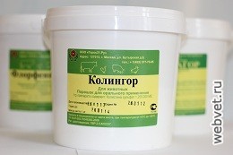 Колингор