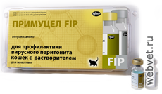 Примуцел FIP