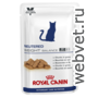 Royal Canin neutered weight balance