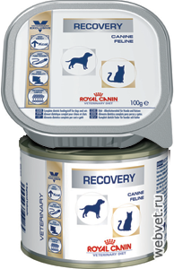 Royal Canin Recovery