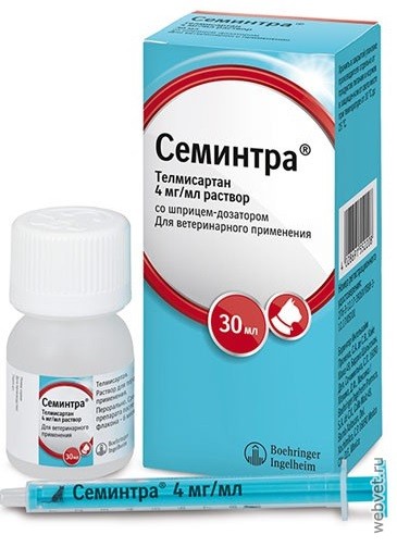 Семинтра