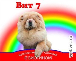 Вит 7